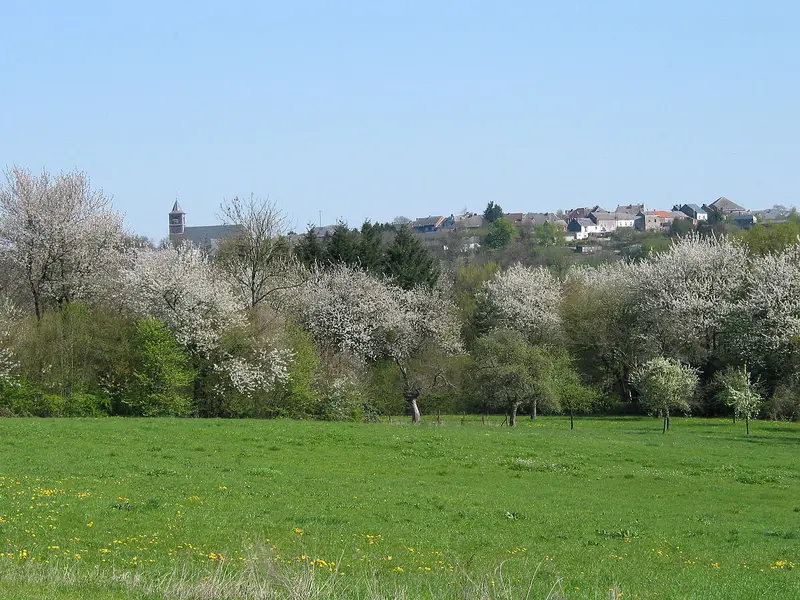 Vendre sa voiture à Beaumont - Hainaut