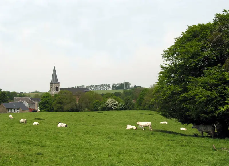 Vendre sa voiture à Gesves - Namur