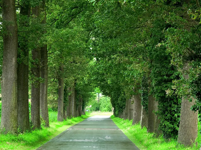 Vendre sa voiture à Beernem - Flandre-Occidentale