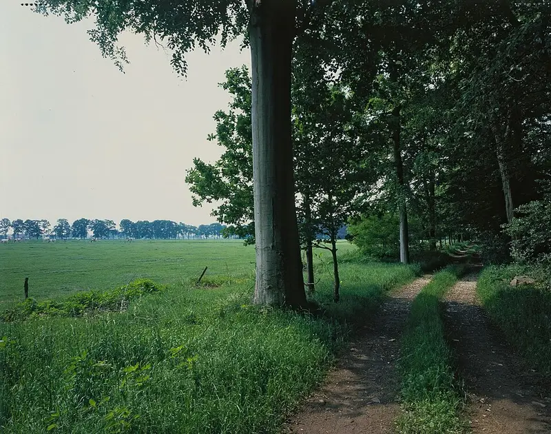 Vendre sa voiture à Brecht - Anvers