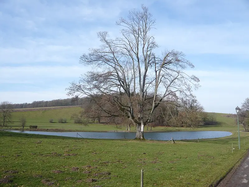 Vendre sa voiture à Clavier - Liège