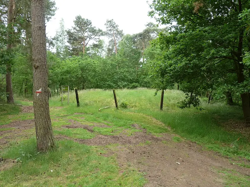 Vendre sa voiture à Hamont-Achel - Limbourg