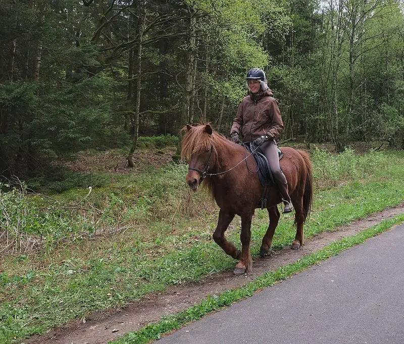 Vendre sa voiture à Raeren - Liège