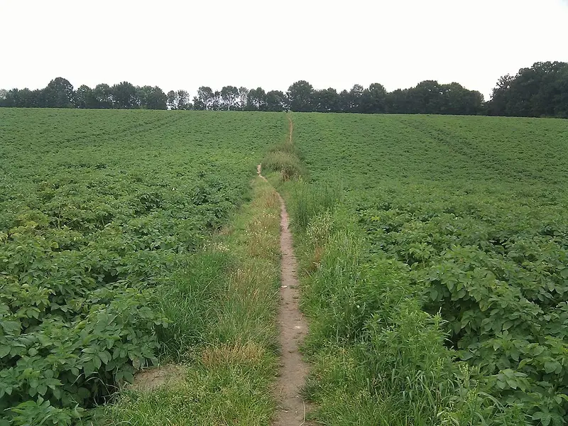 Vendre sa voiture à Rhode-Saint-Genèse - Brabant flamand