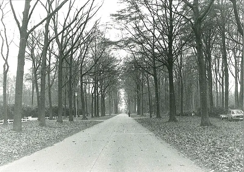Vendre sa voiture à Schilde - Anvers