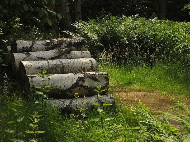Vendre sa voiture à Schoten - Anvers