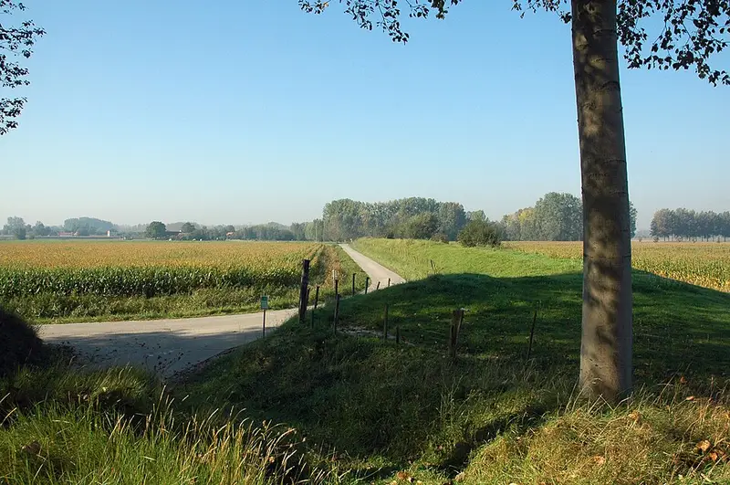 Vendre sa voiture à Sint-Laureins - Flandre-Orientale