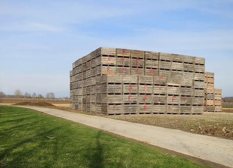 Vendre sa voiture à Sint-Truiden - Limbourg